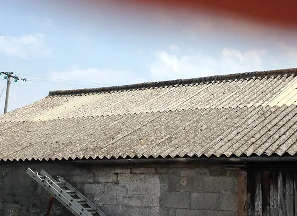 Asbestos property issue