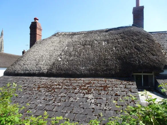 Thatch example