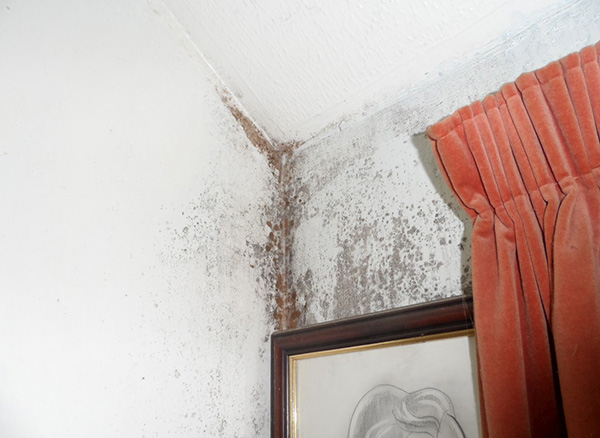 Condensation Condensation