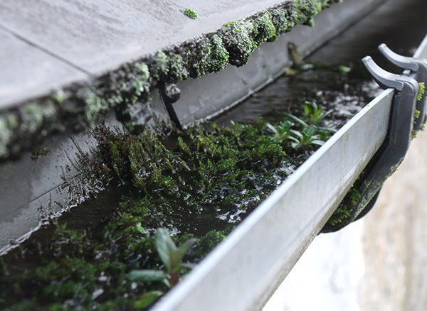 Rainwater Goods