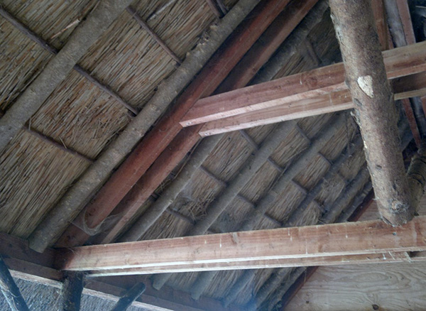 Thatch