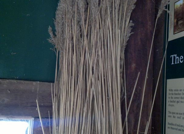Thatch