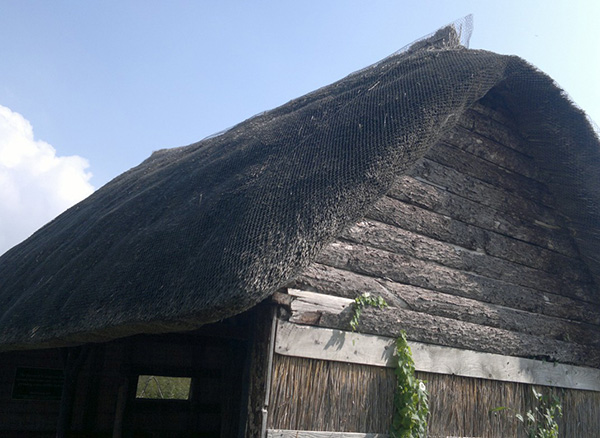 Thatch