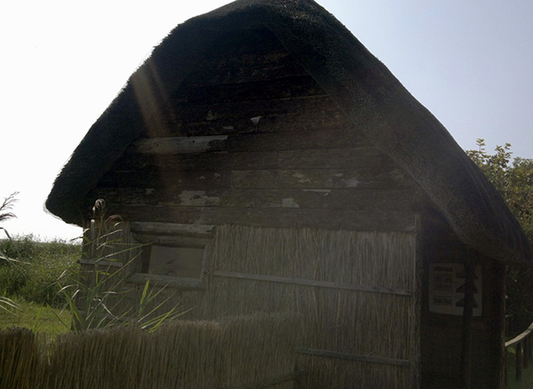Thatch