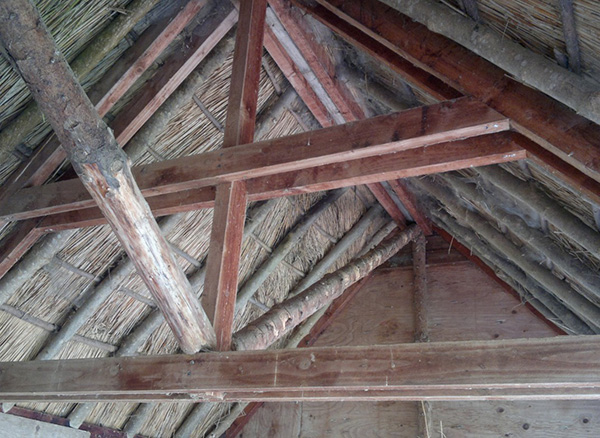 Thatch