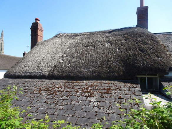 Thatch