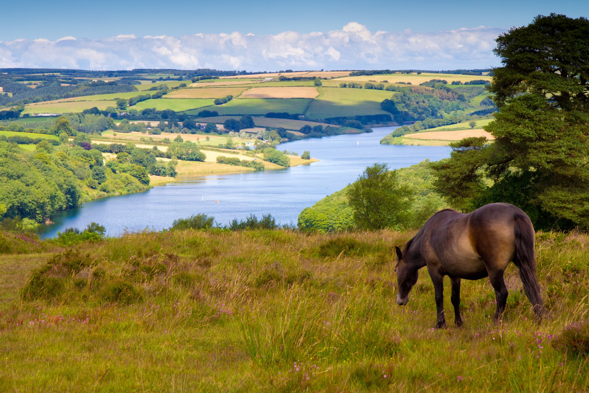 Chartered Surveyors Devon Chartered Surveyors Devon