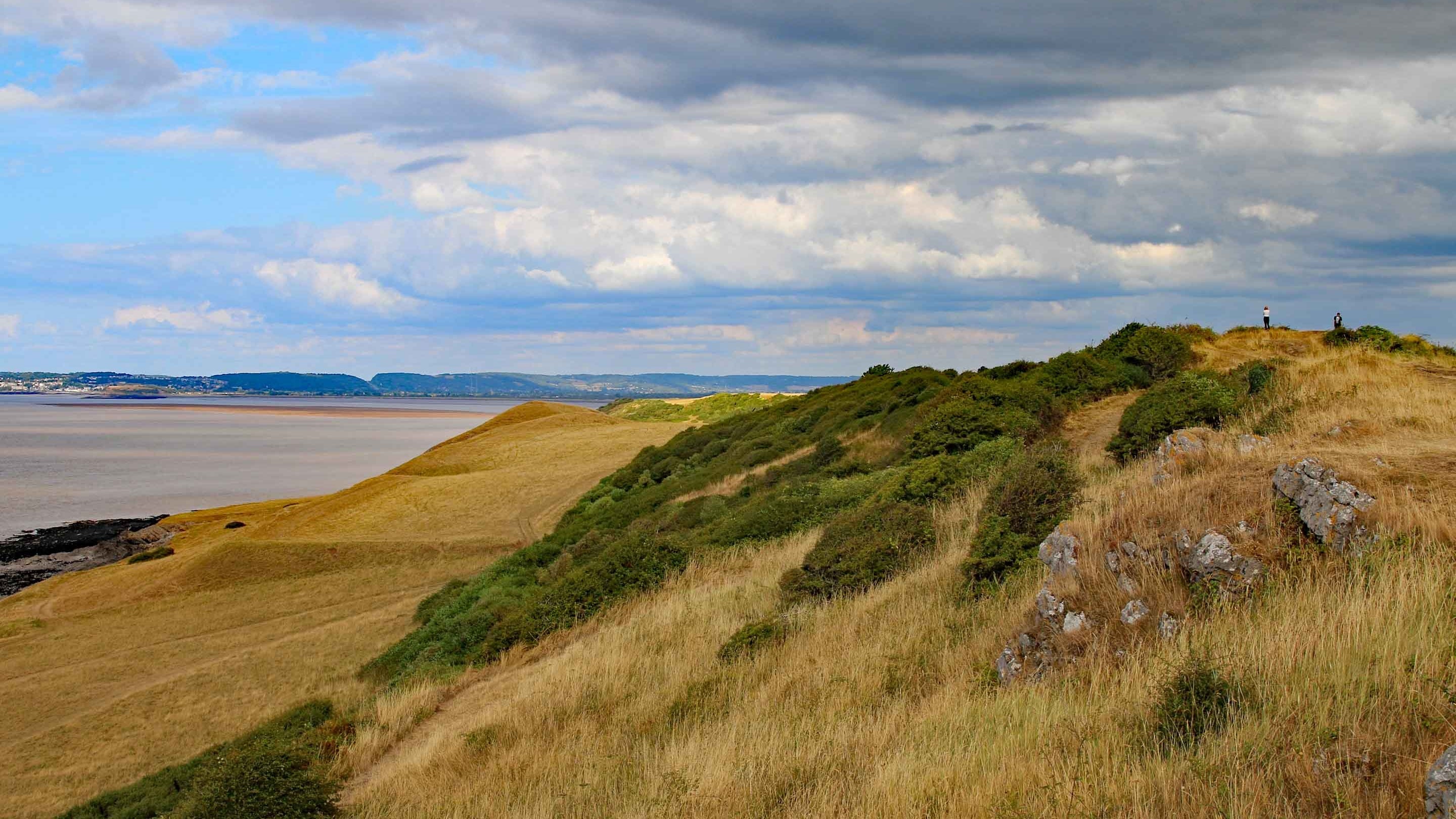 Bradleys Surveyors Somerset