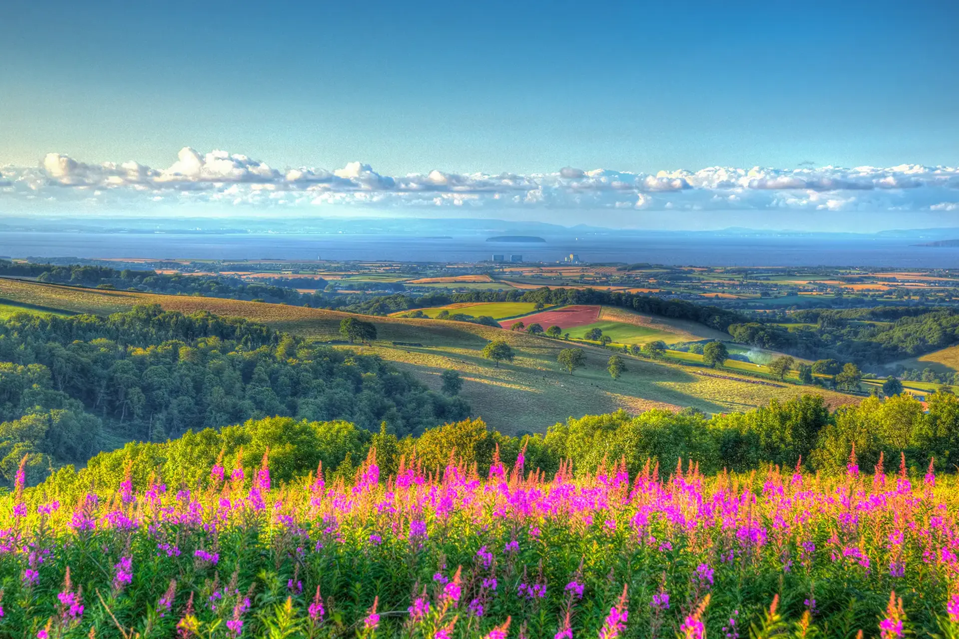 Chartered Surveyors Somerset Chartered Surveyors Somerset